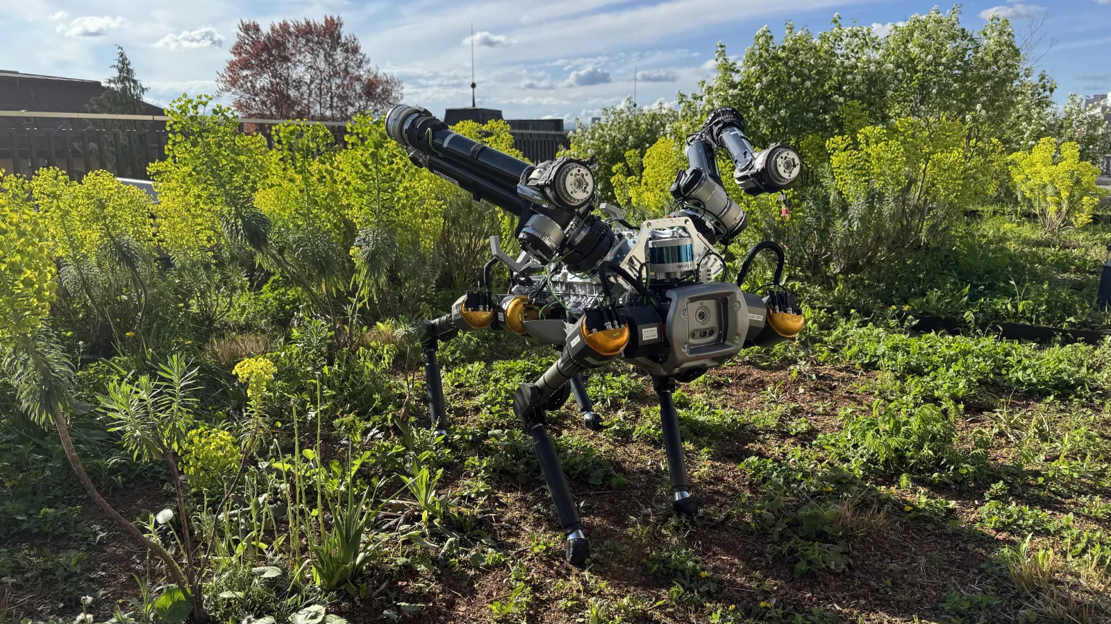 Daisy mobile manipulator robot