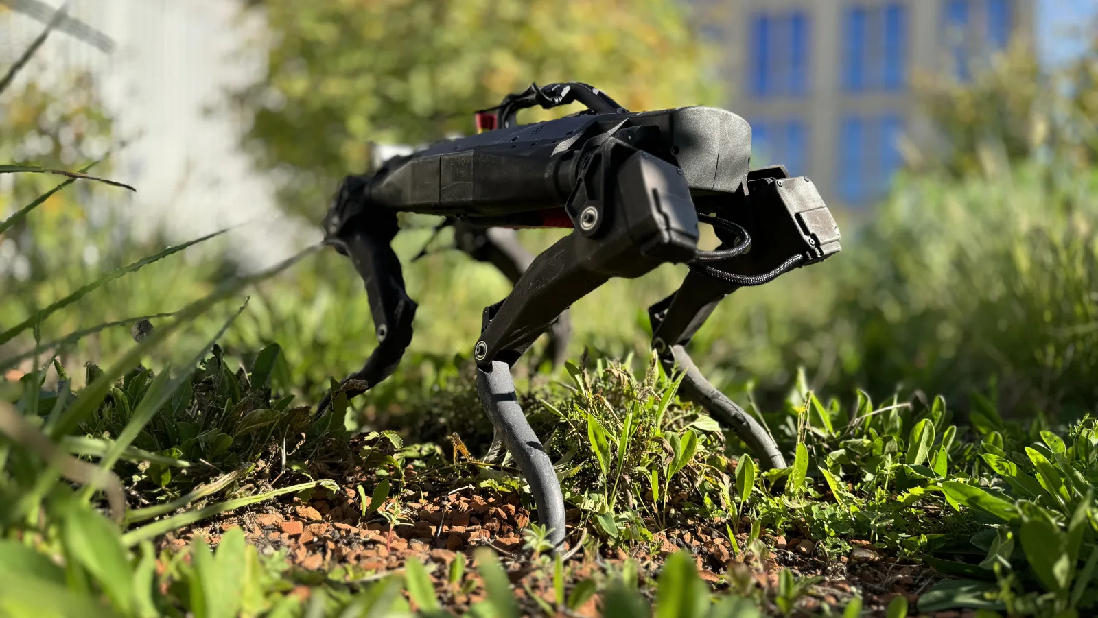 Minimal small-scale quadruped robot