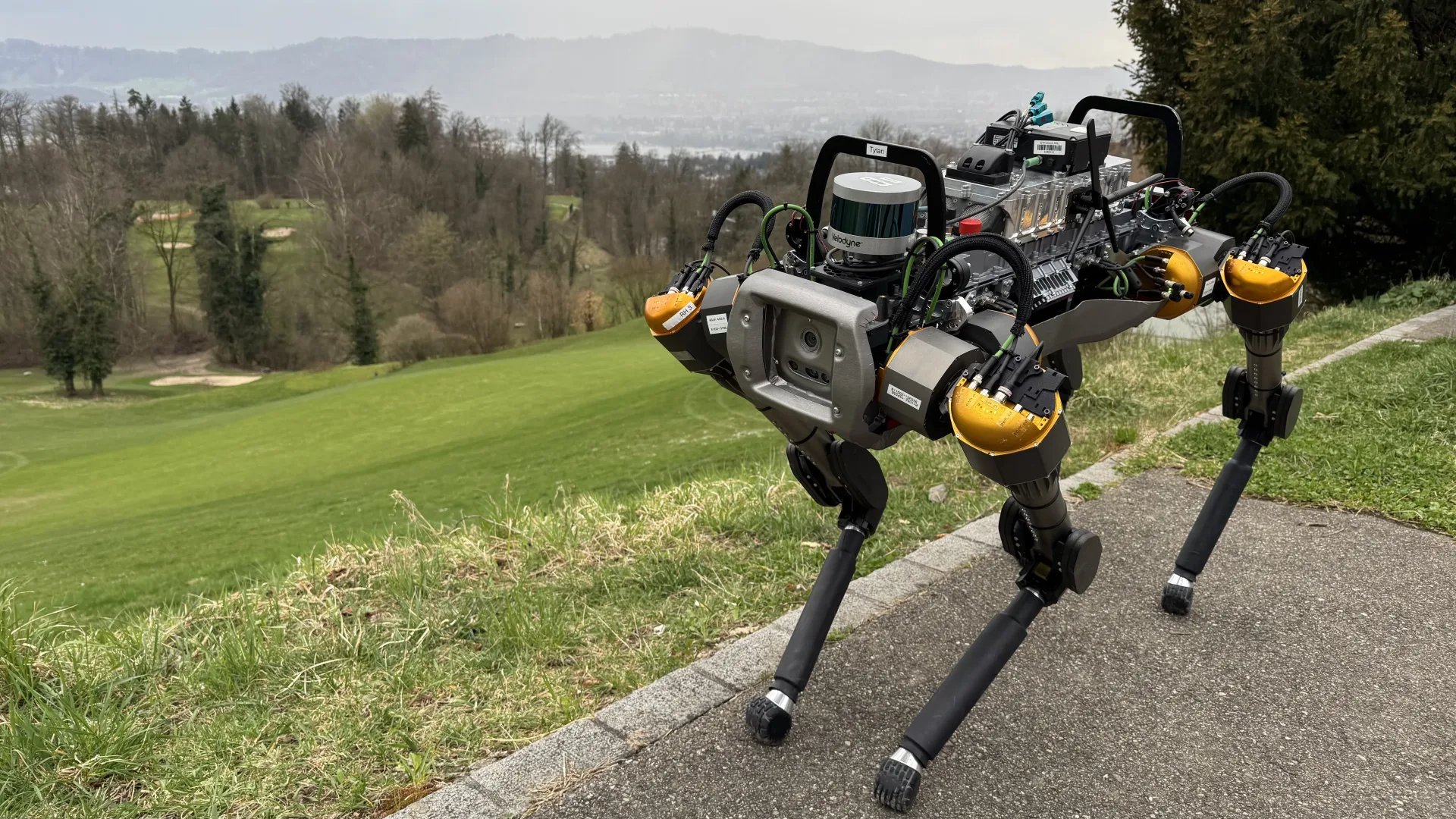 Tytan quadruped robot
